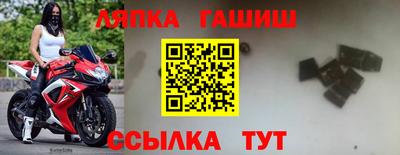 сатива Аргун